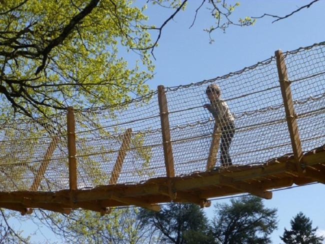 Cabane Perchee Dans Les Arbres Saint-Hilaire-en-Morvan المظهر الخارجي الصورة