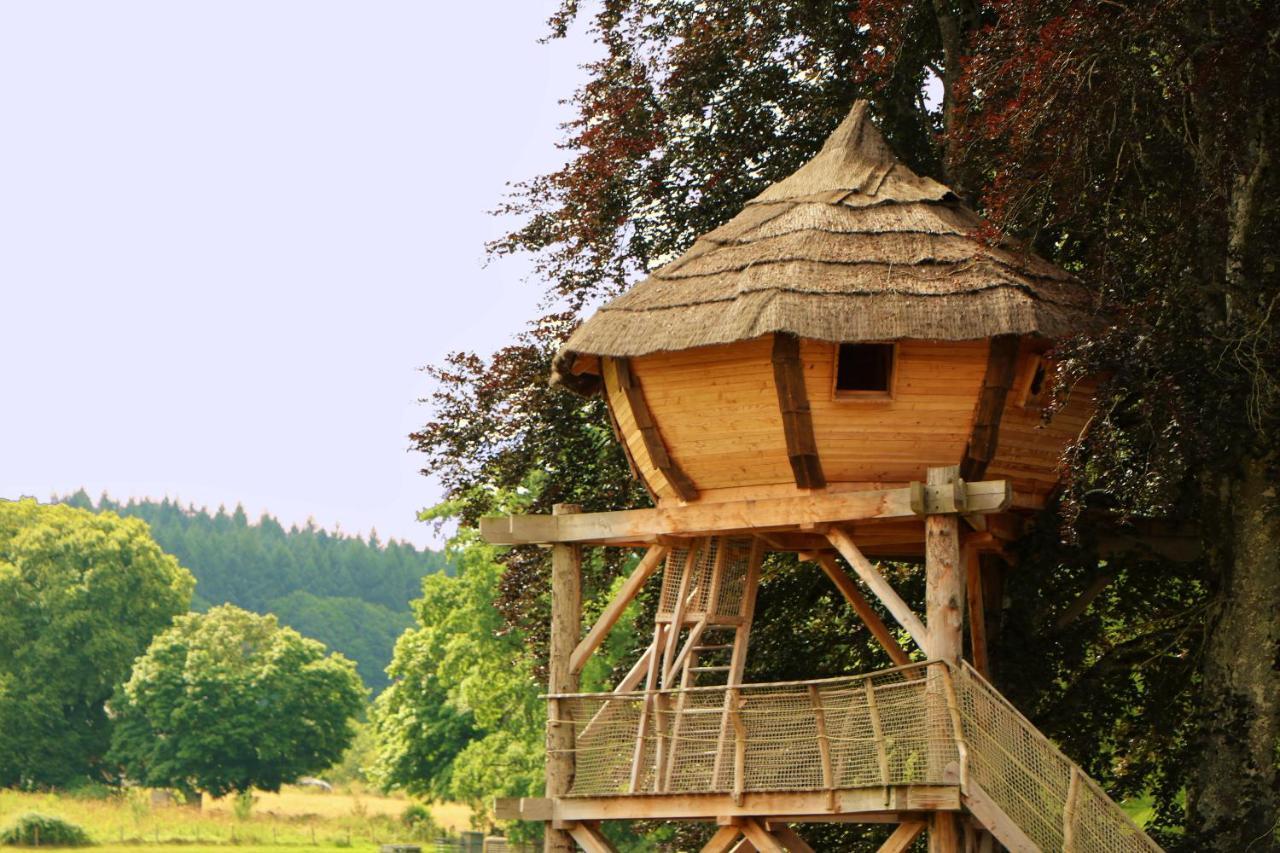 Cabane Perchee Dans Les Arbres Saint-Hilaire-en-Morvan المظهر الخارجي الصورة