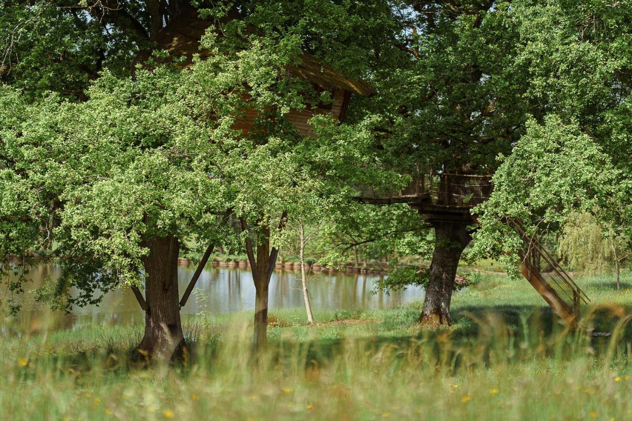 Cabane Perchee Dans Les Arbres Saint-Hilaire-en-Morvan المظهر الخارجي الصورة