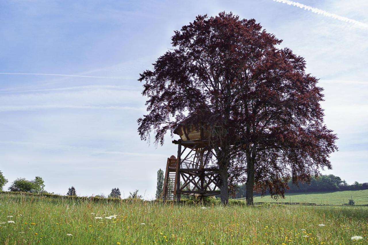 Cabane Perchee Dans Les Arbres Saint-Hilaire-en-Morvan المظهر الخارجي الصورة