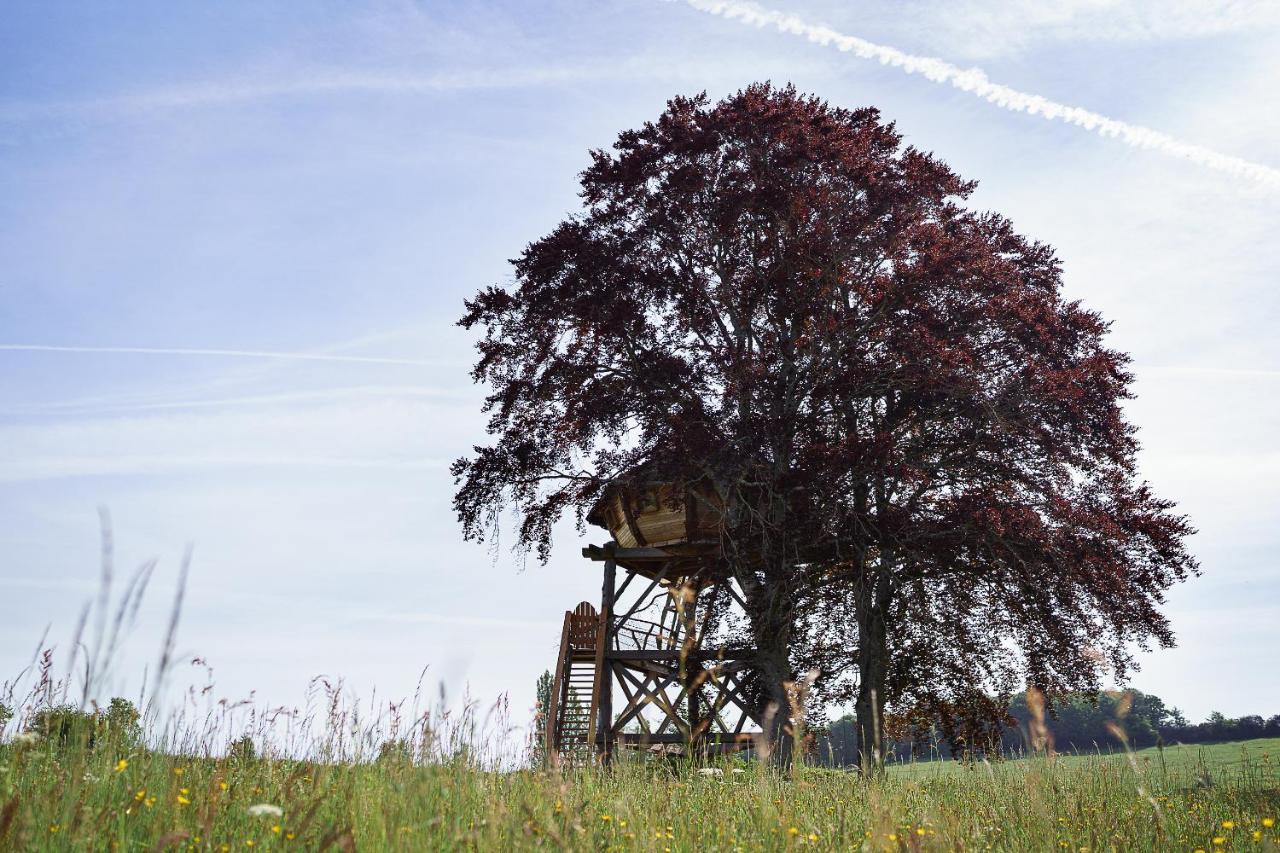Cabane Perchee Dans Les Arbres Saint-Hilaire-en-Morvan المظهر الخارجي الصورة
