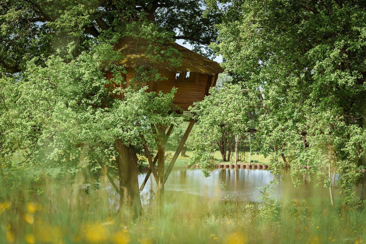 Cabane Perchee Dans Les Arbres Saint-Hilaire-en-Morvan المظهر الخارجي الصورة