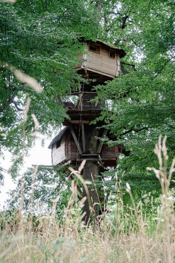 Cabane Perchee Dans Les Arbres Saint-Hilaire-en-Morvan المظهر الخارجي الصورة