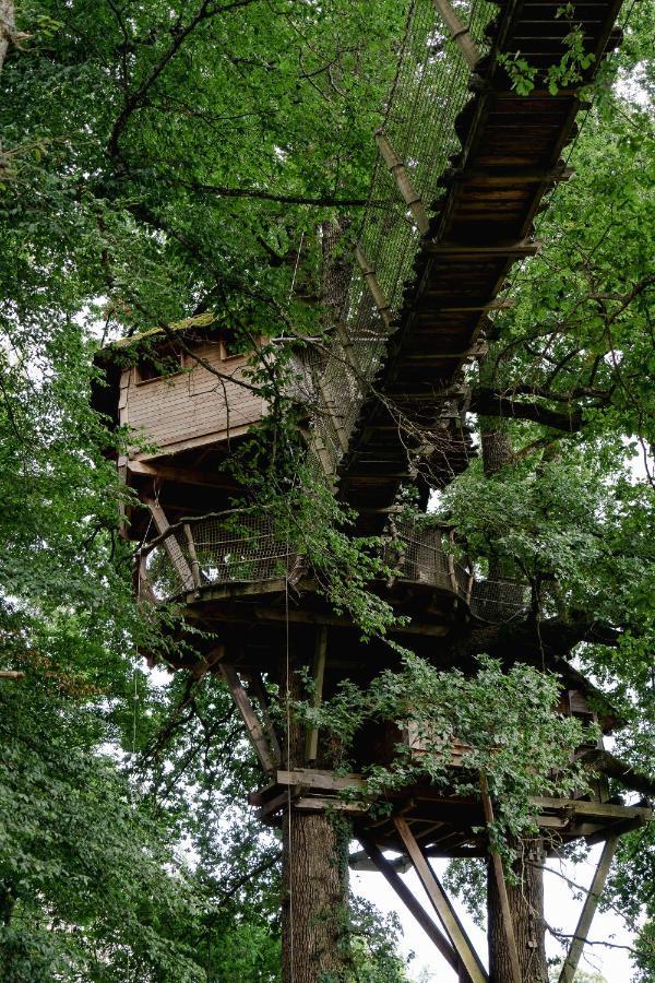 Cabane Perchee Dans Les Arbres Saint-Hilaire-en-Morvan المظهر الخارجي الصورة