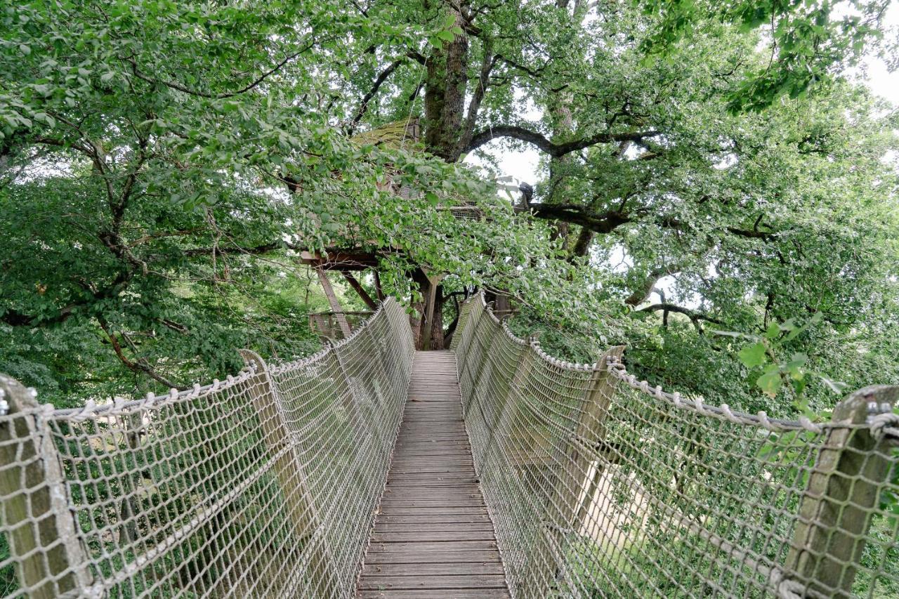 Cabane Perchee Dans Les Arbres Saint-Hilaire-en-Morvan المظهر الخارجي الصورة