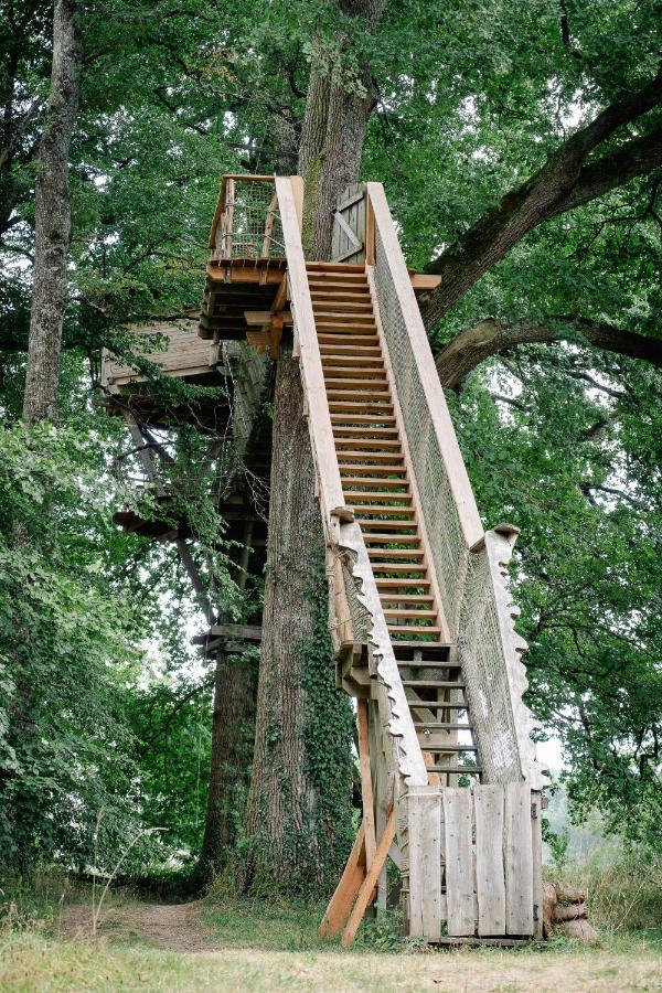 Cabane Perchee Dans Les Arbres Saint-Hilaire-en-Morvan المظهر الخارجي الصورة