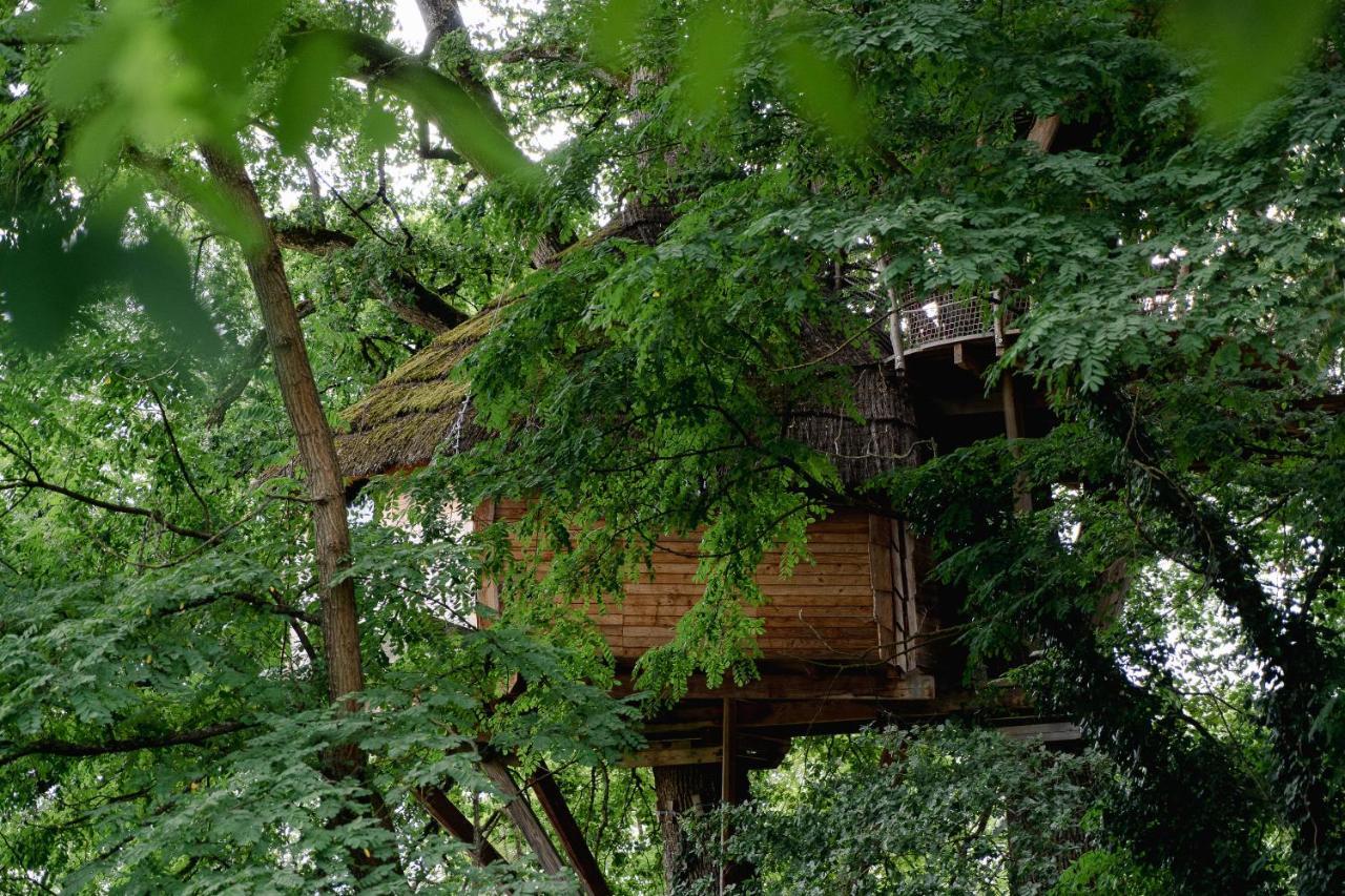Cabane Perchee Dans Les Arbres Saint-Hilaire-en-Morvan المظهر الخارجي الصورة