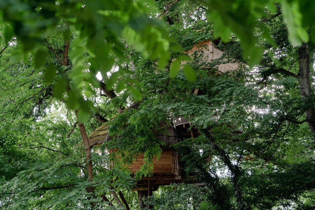 Cabane Perchee Dans Les Arbres Saint-Hilaire-en-Morvan المظهر الخارجي الصورة